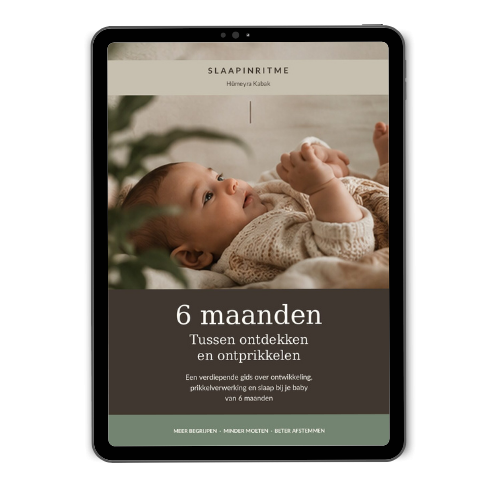 zes maanden gids